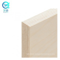 Wholesale price best quality 4x8 18mm russian baltic white birch plywood sheet